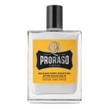 PRORASO Бальзам после бритья Wood and Spice, 100 мл.