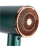 TNL Фен Professional Master Dry - зеленый, 1600 W