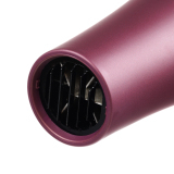 03-8088 Wine DEWAL Фен ProBlues, 2600 Вт, 2 насадки, ионизация