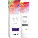 TEFIA CALEIDO colors Пигмент прямого действия для волос Фиолетовый, 100 мл.