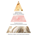 10071 RuNail Гель-скраб для рук и тела (шампанское, бузина, орхидея), 200 мл.